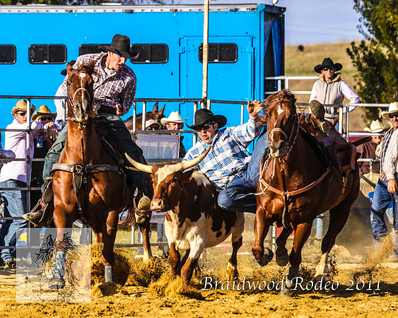 Braidwood1_0884