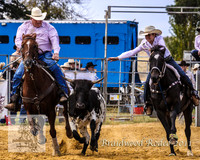 Braidwood1_0122