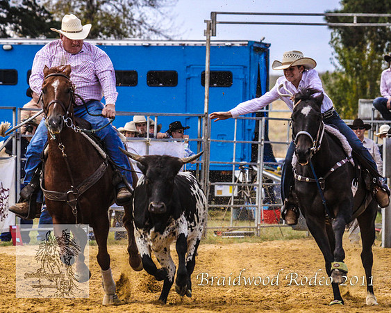 Braidwood1_0122