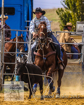 Braidwood1_0232