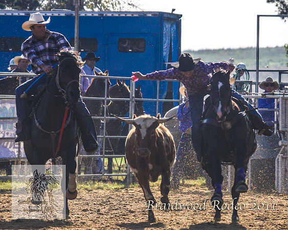 Braidwood1_2307