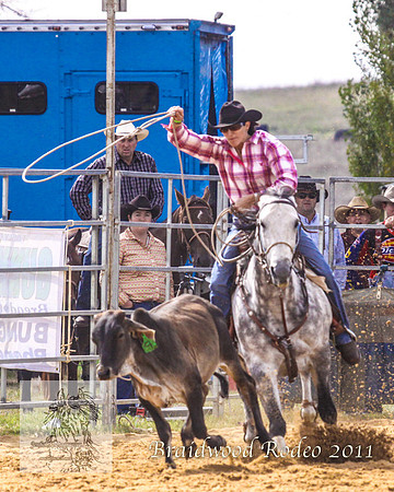 Braidwood1_2726