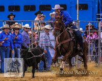 Braidwood1_0017