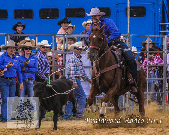 Braidwood1_0017