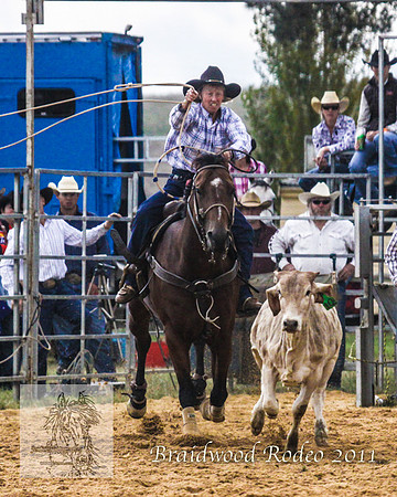 Braidwood1_2709