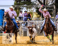 Braidwood1_0129