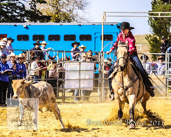 Braidwood1_0420