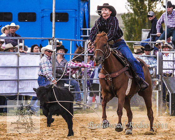 Braidwood1_0029