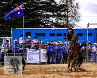 Braidwood1_0030