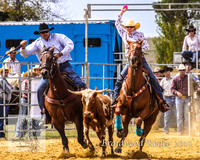 Braidwood1_0130