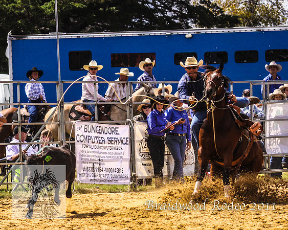 Braidwood1_0012