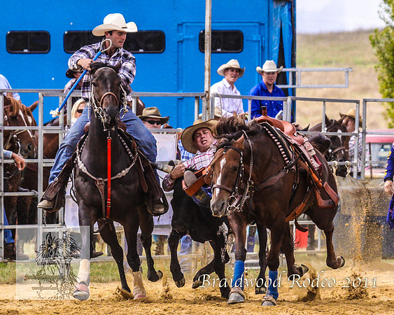 Braidwood1_0286
