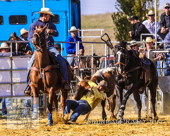 Braidwood1_0563
