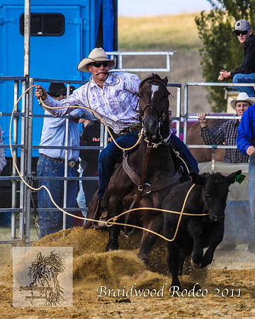 Braidwood1_0750