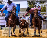 Braidwood1_0117