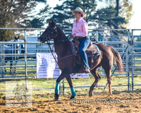 Braidwood1_0001