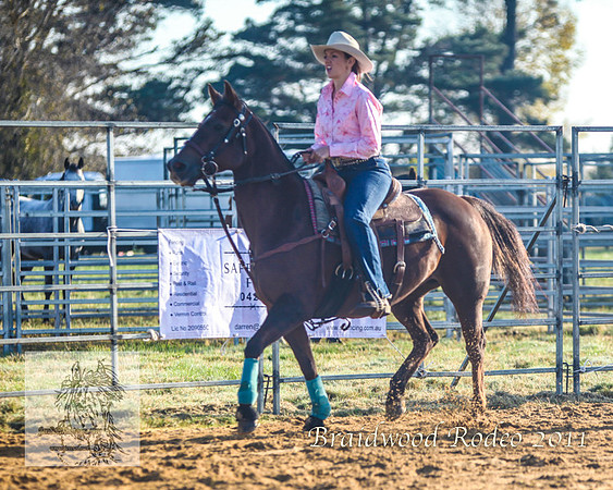 Braidwood1_0001