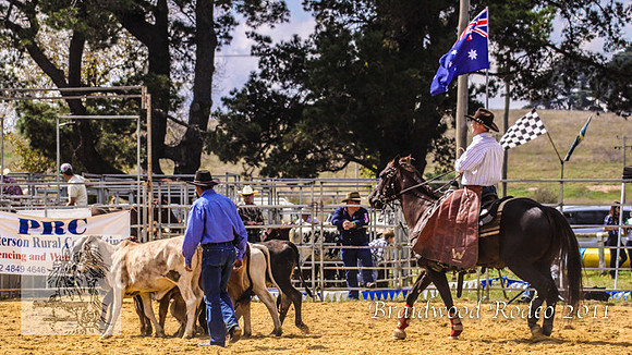 Braidwood1_2735