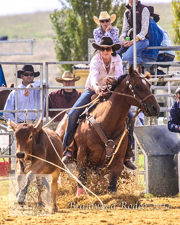 Braidwood1_2731