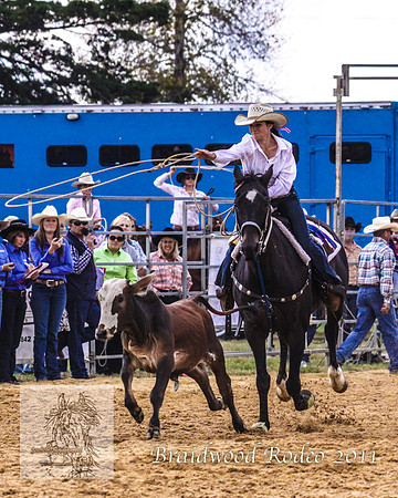 Braidwood1_2716