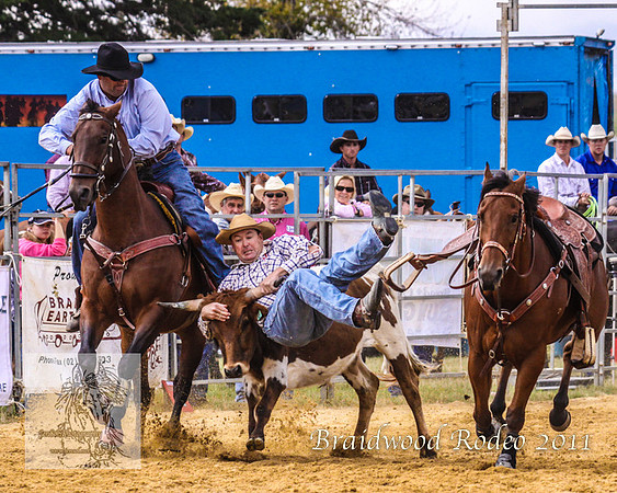 Braidwood1_0281
