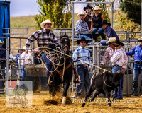 Braidwood1_0220
