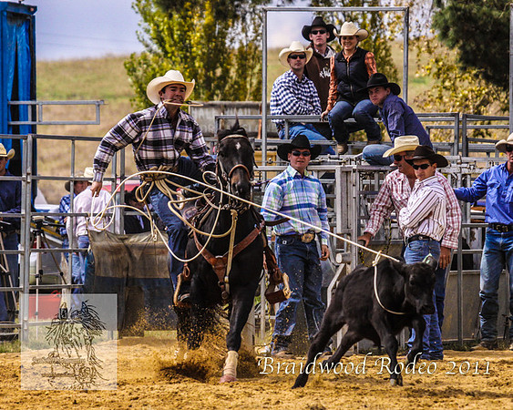 Braidwood1_0220