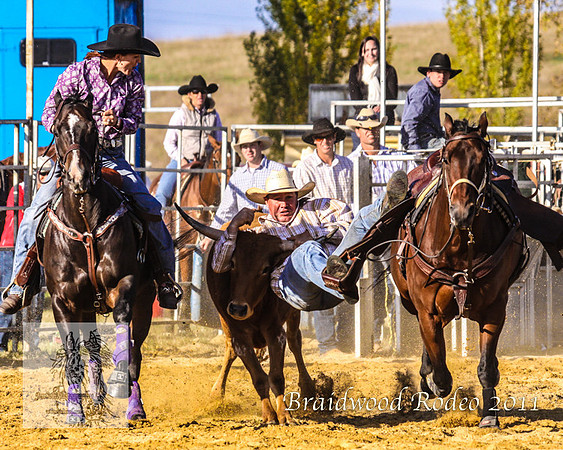 Braidwood1_0867