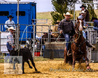 Braidwood1_0228