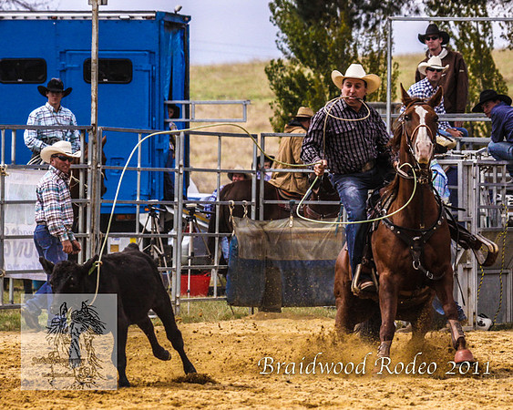 Braidwood1_0228