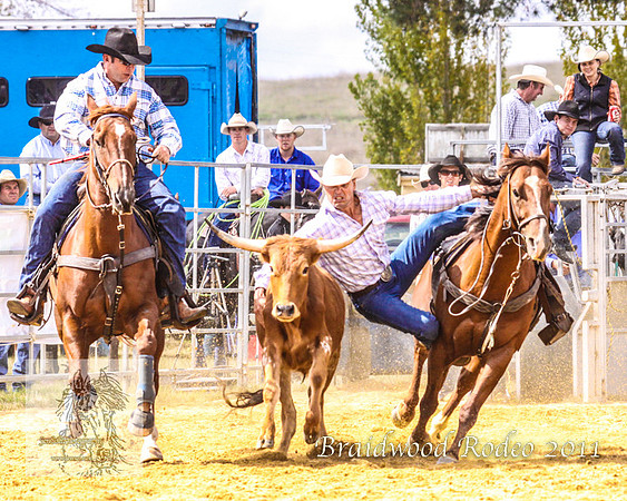 Braidwood1_0269