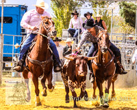 Braidwood1_0137