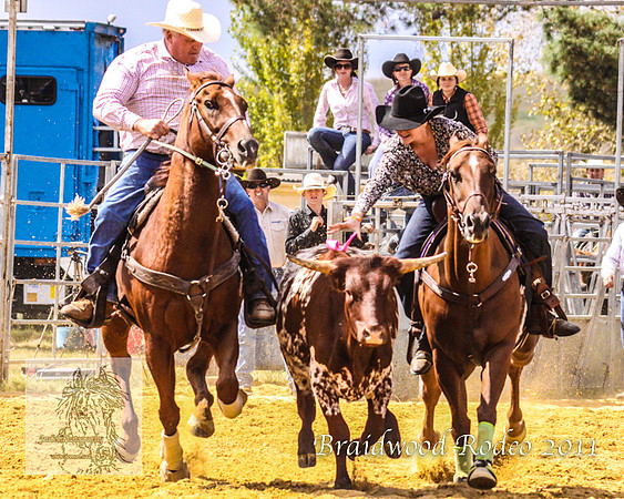 Braidwood1_0137