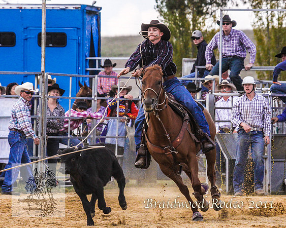 Braidwood1_0028