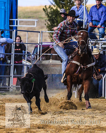 Braidwood1_0737