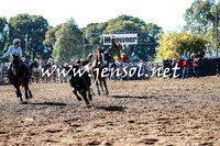 TumutRodeo2016_1381