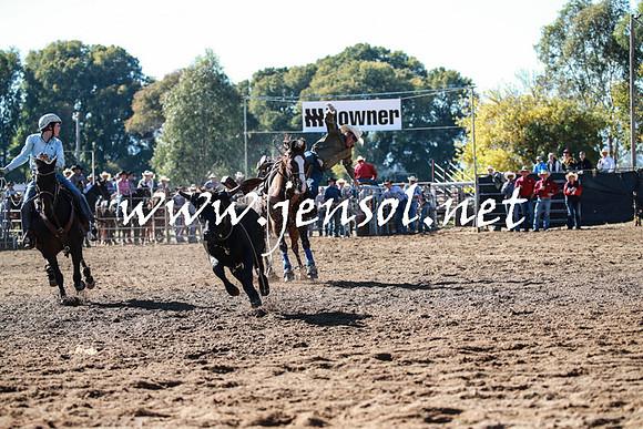 TumutRodeo2016_1381