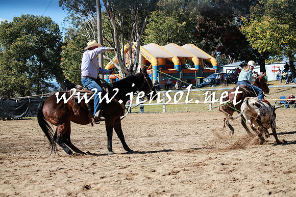 TumutRodeo2016_2398