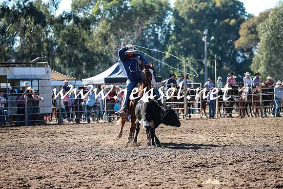 TumutRodeo2016_1442