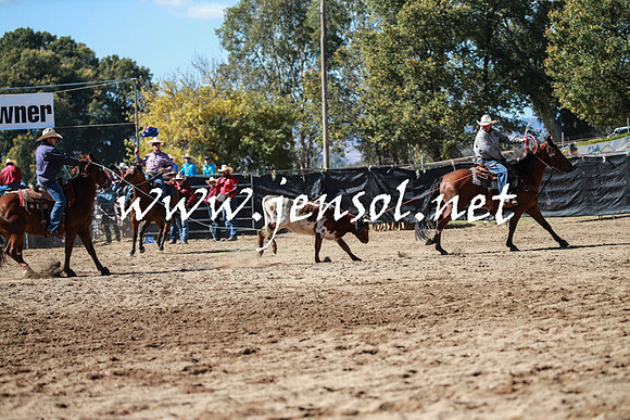 TumutRodeo2016_2280