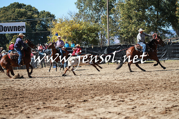 TumutRodeo2016_2279