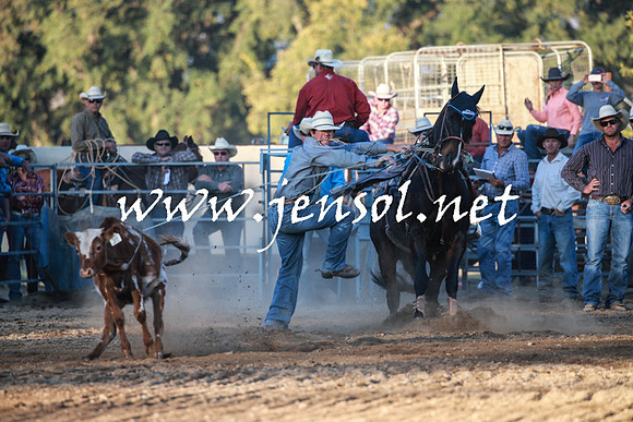 TumutRodeo2016Two_4541