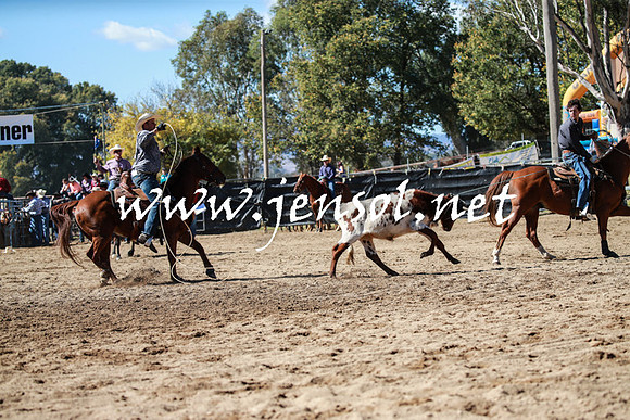 TumutRodeo2016_2295