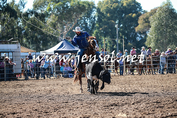 TumutRodeo2016_1443