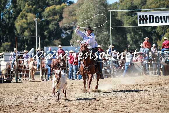 TumutRodeo2016_2943