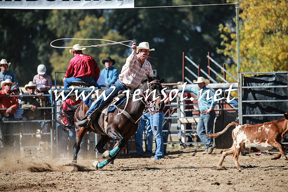 TumutRodeo2016_2926