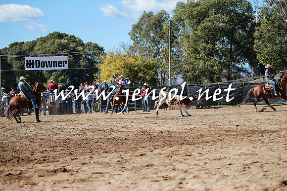 TumutRodeo2016_2375