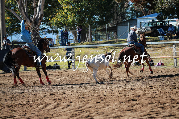 TumutRodeo2016_1409