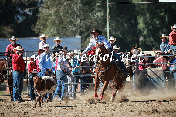 TumutRodeo2016_2933