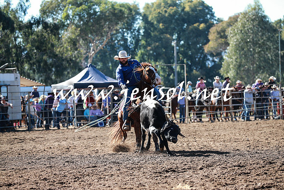 TumutRodeo2016_1436